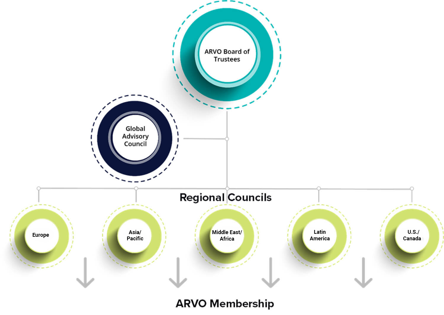 regional advisory council
